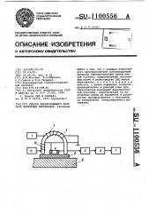 Способ неразрушающего контроля магнитных материалов (патент 1100556)