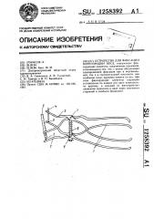 Устройство для фиксации перегородки носа (патент 1258392)