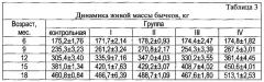 Способ повышения эффективности применения биогенных стимуляторов при откорме молодняка крупного рогатого скота (патент 2663463)