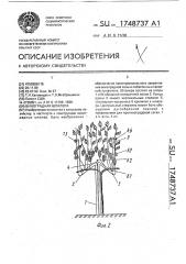 Виноградная шпалера (патент 1748737)