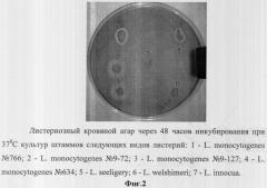 Среда для определения гемолитической активности культур рода listeria (патент 2318022)