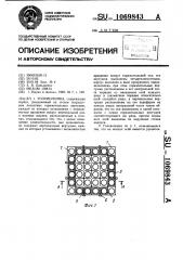 Головоломка (патент 1069843)