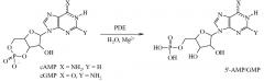 Ингибиторы фермента фосфодиэстеразы 10 (патент 2667058)