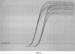 Способ стандартизации данных полимерной цепной реакции с регистрацией накопления продуктов реакции по флуоресценции непосредственно во время реакции (пцр "в реальном времени") (патент 2294532)