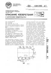 Установка для производства обжаренных пищевых продуктов из картофеля в виде пластин (патент 1581265)