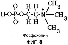 Получение триацилглицеролов из камедей (патент 2456338)