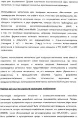 Применение диметилдисульфида для продукции метионина микроорганизмами (патент 2413001)