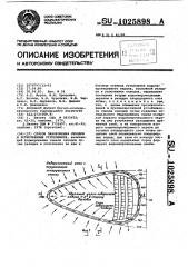 Способ захоронения отходов в естественных углублениях (патент 1025898)