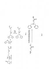 Способ получения ω-(бис(пиридин-2-илметил)амино)алифатических кислот - прекурсоров с хелатными центрами для связывания металлов (патент 2616974)