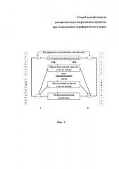 Способ воздействия на репаративно-регенеративные процессы при повреждении периферического нерва (патент 2636904)