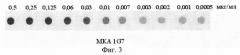 Штамм гибридных клеток животных mus musculus 1g7 - продуцент моноклональных антител, специфичных к ботулиническому токсину типа в (патент 2571208)