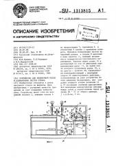 Устройство для поперечной резки и разбантовки листов стекла (патент 1313815)