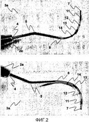 Способ и устройство для измерения орального субстрата у животных (патент 2385688)
