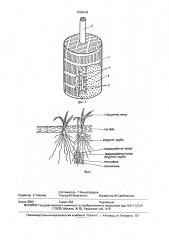 Лизиметрическое устройство (патент 1606034)