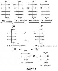 Способы электролитического получения эритрозы или эритритола (патент 2433211)