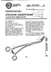 Хирургический зажим (патент 1017314)