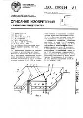 Устройство измерения параметров ледяного покрова (его варианты) (патент 1295234)