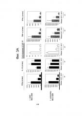 Замороженные кондитерские изделия, содержащие пробиотические микроорганизмы (патент 2593716)