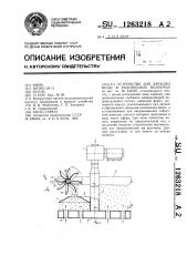 Устройство для аэрации воды в рыбоводных водоемах (патент 1263218)