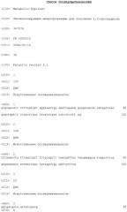 Бактерия escherichia coli для получения 1,2-пропандиола, способ ее получения, способ получения 1,2-пропандиола (патент 2407793)