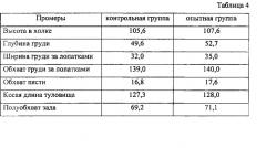 Премикс для телят-молочников (патент 2577400)