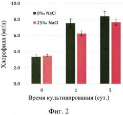 Штамм микроводоросли haematococcus pluvialis - продуцент натурального астаксантина (патент 2573944)