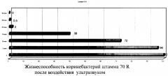 Способ определения морфологической изменчивости и устойчивости клеток коринебактерий (патент 2264464)