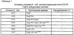 Бактерия е.coli, продуцирующая гетерологичный полипептид, и способ продуцирования полипептида (патент 2287574)