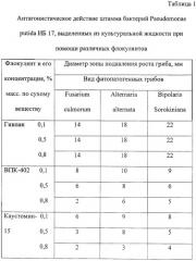 Способ выделения биомассы микроорганизмов (патент 2245916)