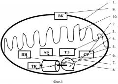 Беспилотный летательный аппарат легче воздуха (патент 2600556)