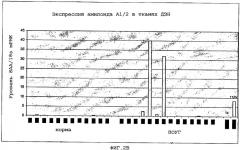 Применение гена сывороточного амилоида а в диагностике и лечении глаукомы и определении антиглаукоматозных средств (патент 2365379)