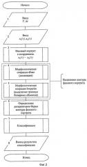 Способ формирования двумерного изображения биосигнала и его анализа (патент 2538938)