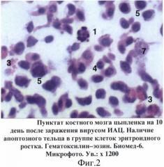 Способ прижизненной диагностики латентного течения инфекционной анемии цыплят (патент 2527696)