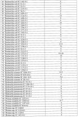 Штаммы бактерий bacillus subtilis и bacillus amyloliquefaciens, обеспечивающие восстановление микробиоценозов почвы и желудочно-кишечного тракта животных, обладающие бактерицидной, фунгицидной и вирулицидной активностью, и препарат на основе этих штаммов (патент 2482174)