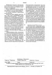 Магнитный ролик (патент 1620264)