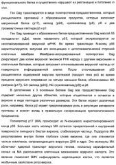 Вакцина для предупреждения и лечения вич-инфекции (патент 2441878)