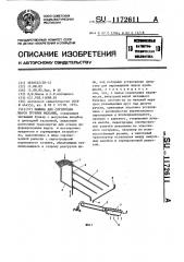 Машина для сортировки шаров трубных мельниц (патент 1172611)