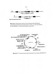 Опосредованная наночастицами доставка сиквенс-специфичных нуклеаз (патент 2612156)