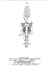 Устройство для подачи и точного останова длинномерных лесоматериалов (патент 895655)