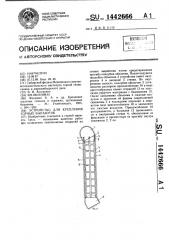 Устройство для крепления горных выработок (патент 1442666)