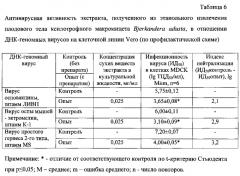 Противовирусное средство на основе сухого экстракта плодового тела ксилотрофного базидиомицета bjerkandera adusta (патент 2580296)