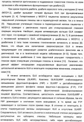 Производные гетероарилбензамида для применения в качестве активаторов glk в лечении диабета (патент 2415141)