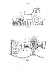Устройство для чеканки кустов хлопчатника (патент 1496693)