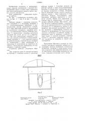 Устройство для пневмотранспортирования сыпучих материалов (патент 1239064)