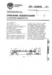 Устройство для подачи пруткового материала (патент 1256836)