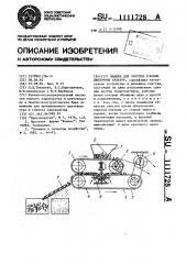 Машина для очистки луковиц цветочных культур (патент 1111728)