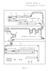 Линия убоя и потрошения птицы (патент 2589230)