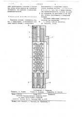 Кольцевая матрица (патент 656654)