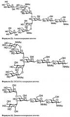 Комплексы типа сахаридная цепочка-полипептид (патент 2664539)