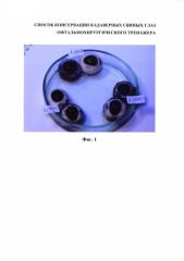 Способ консервации кадаверных свиных глаз для офтальмохирургического тренажера (патент 2581664)